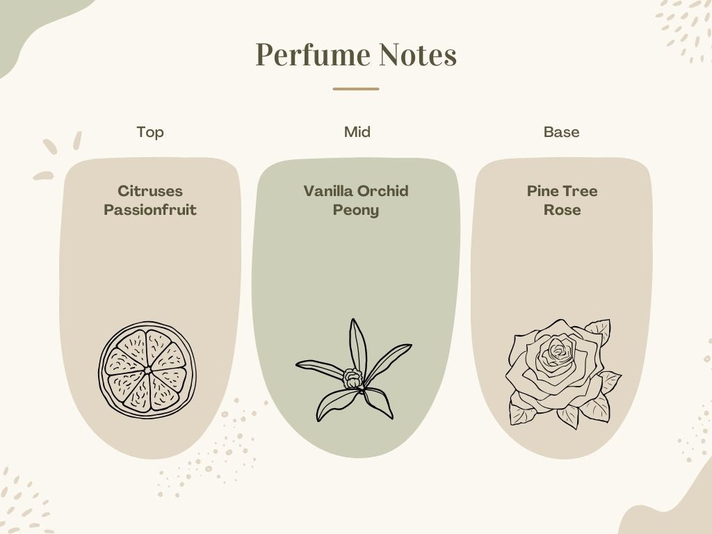 Limelight Parfum for Women by Hoseki – Radiate Elegance and Captivate Every Moment